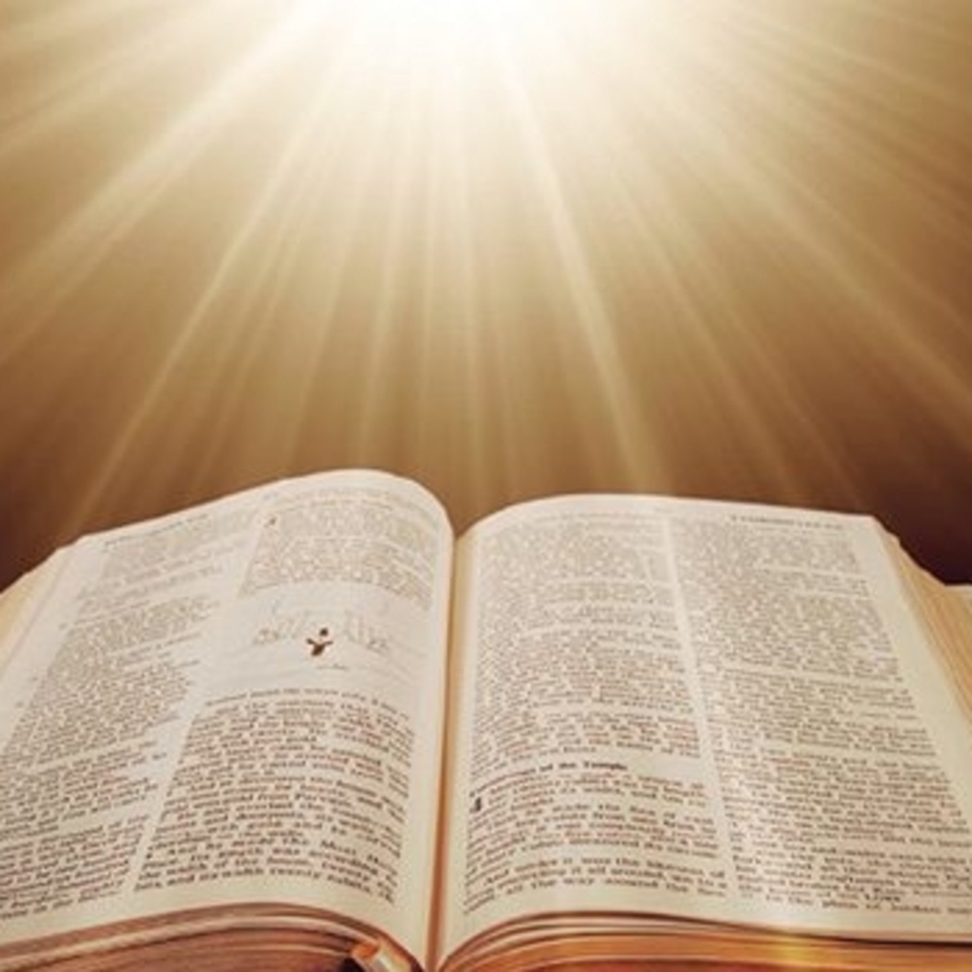 Natalie Te Lee la Biblia