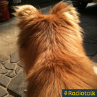#26 ???? from Radiotalk