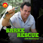 A python call at 2am!