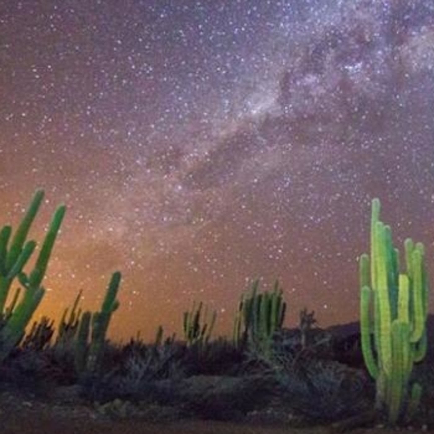 El Exclusivo de Amaicha