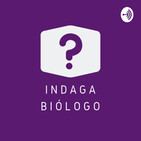Ep 015 - Renovação de classe