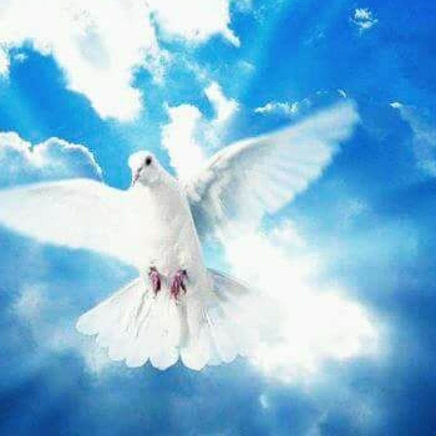 Pasion por JESUS  YESHUA