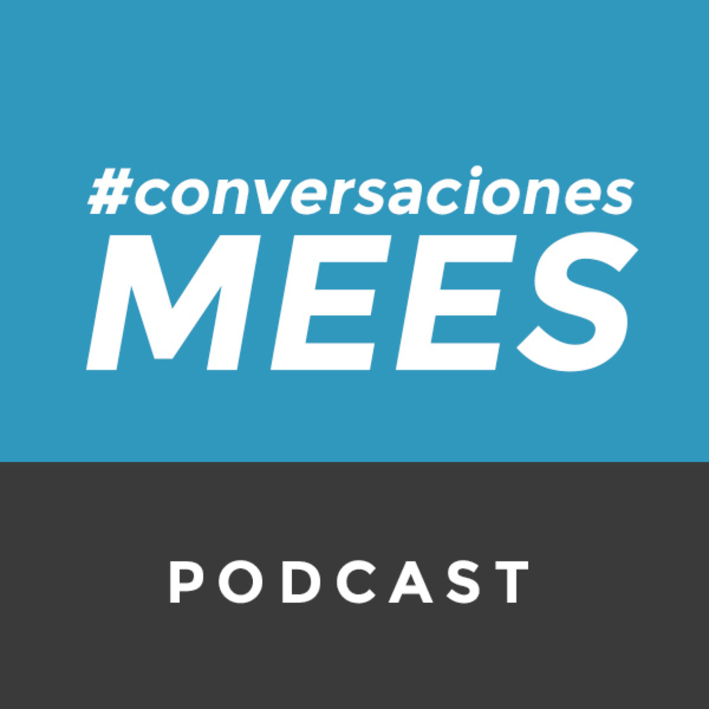 Conversaciones MEES