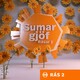 Sumarsögur