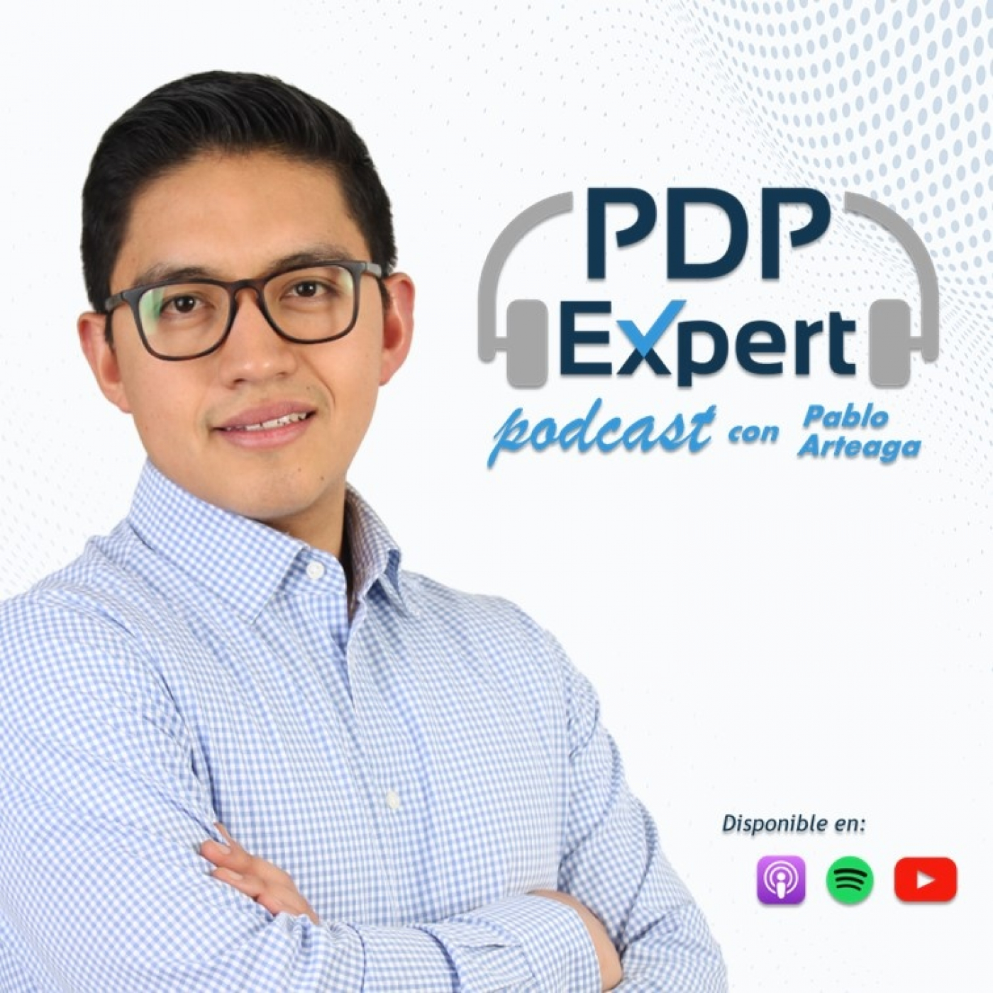 PDP Expert Podcast podcast artwork