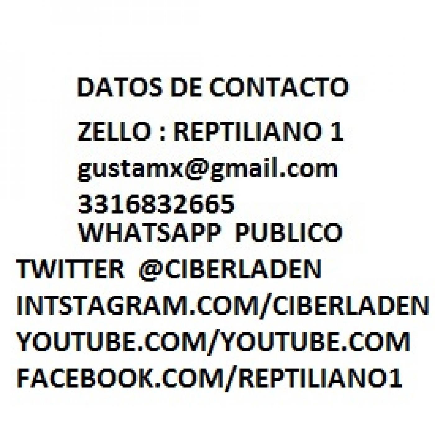 SR. CASTILLO NETWORKER