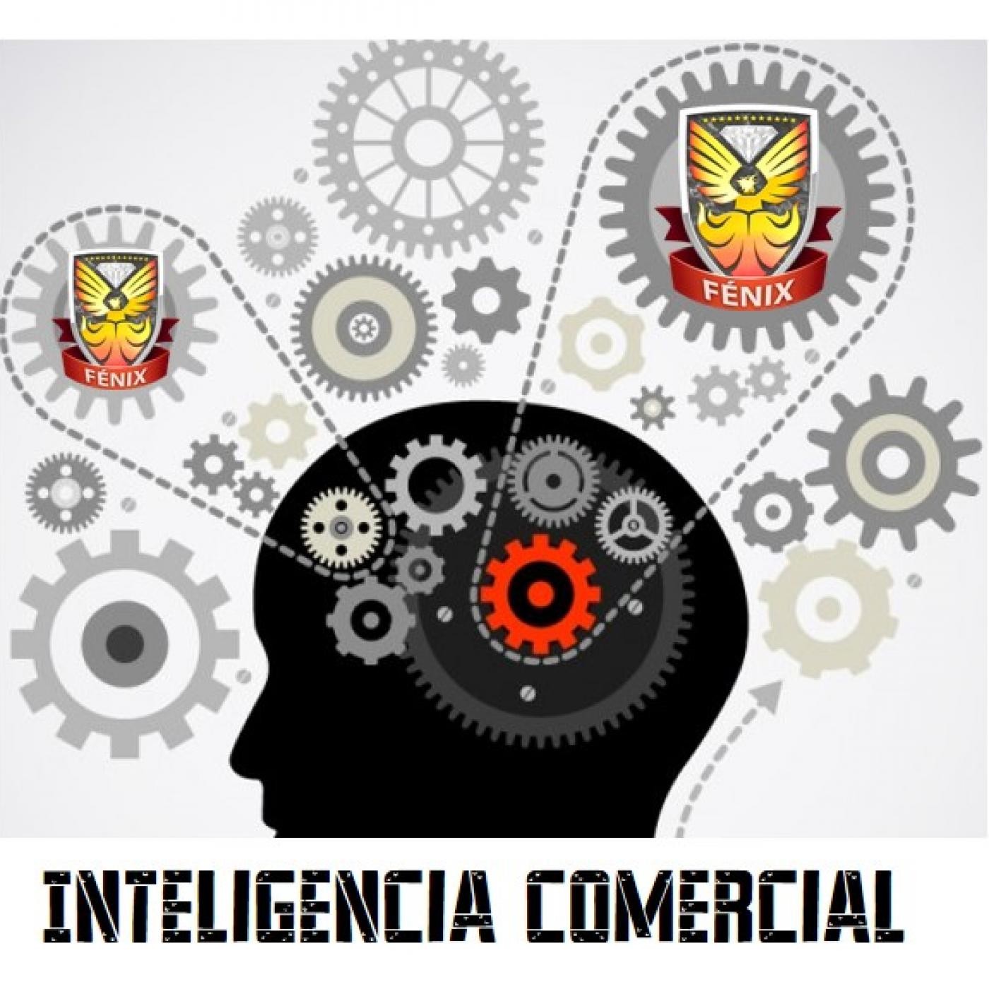 Inteligencia Comercial