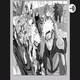 Demon Slayer Chapter 200 Review