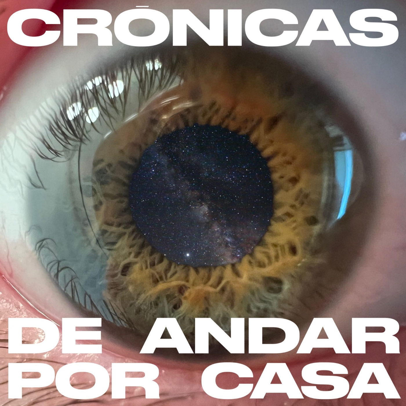 Crónicas de andar por casa