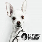 Entrevistas a cara de perro