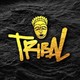 Dj Tribal - Mashup 4House