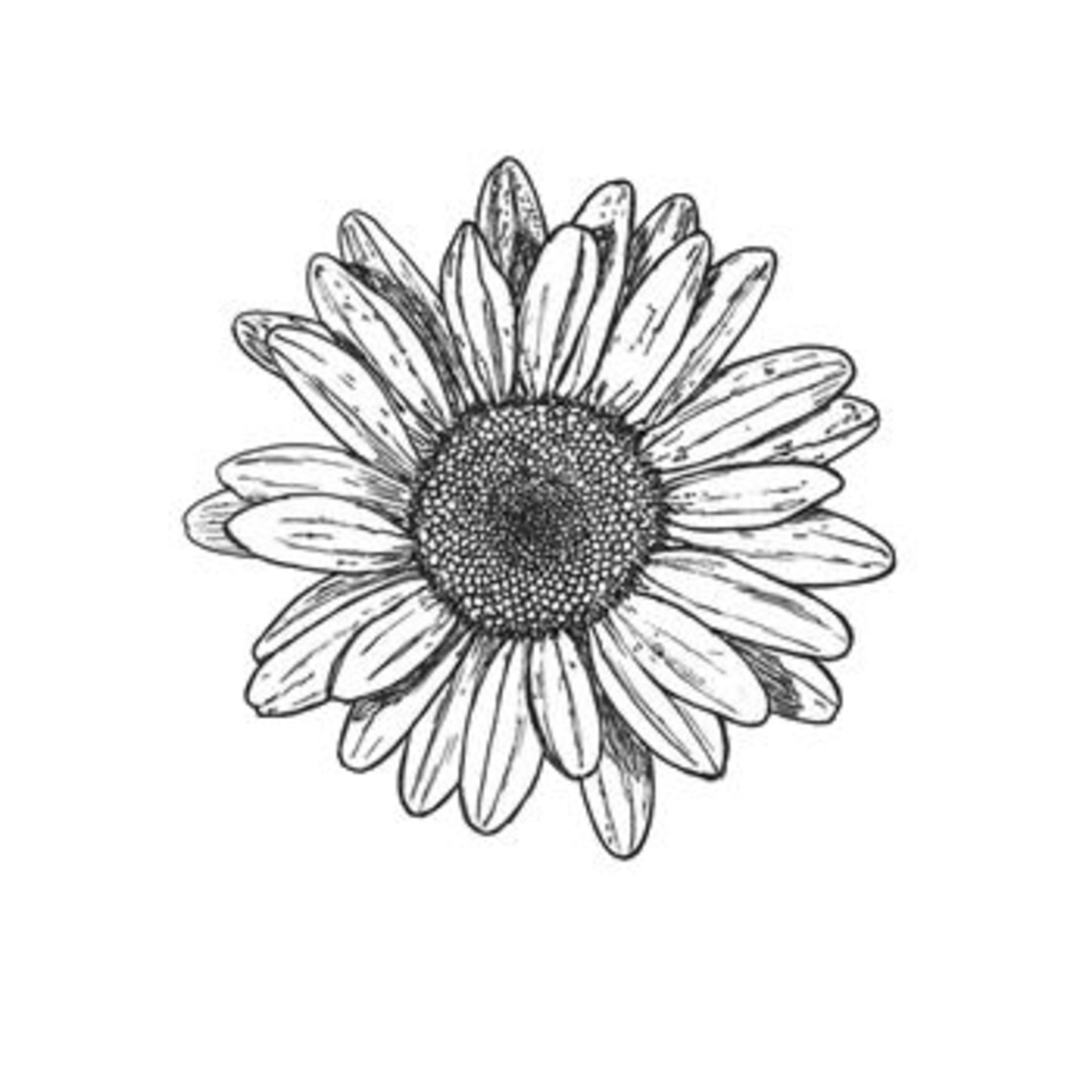 Ser mujer y trabajar.