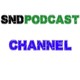 SNDP 215: Thank you David