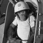 7. Ulises Tamez Duque |Exoesqueletos, Neurociencia & Tecnología|