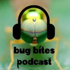BB #022 - A importância de um Congresso de Entomologia (parte 01)