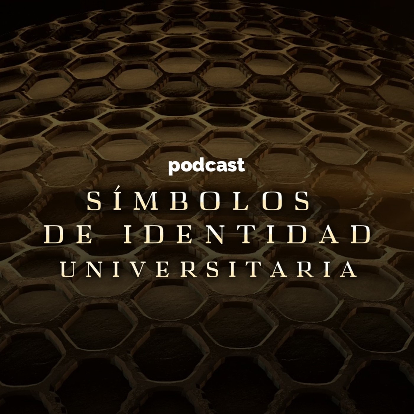 Símbolos de Identidad Universitaria