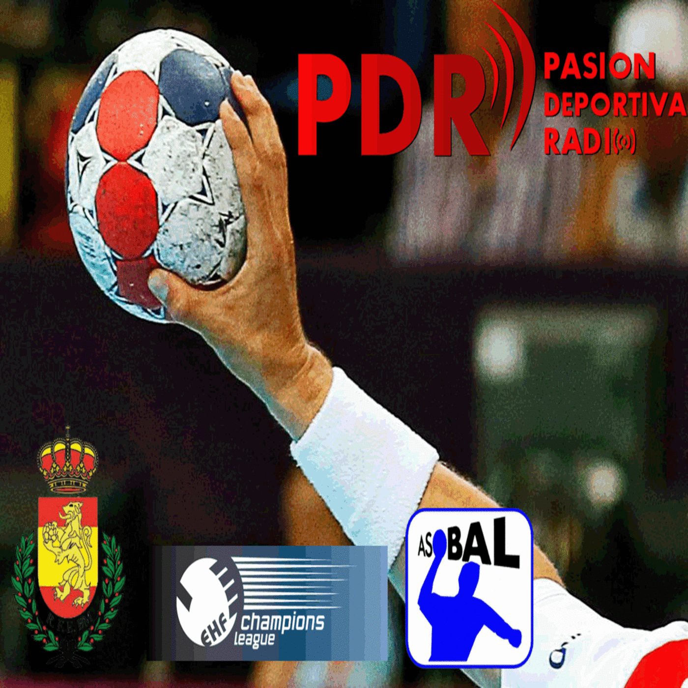 Balonmano 2013-14