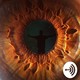 WLOAP Show episode 299
