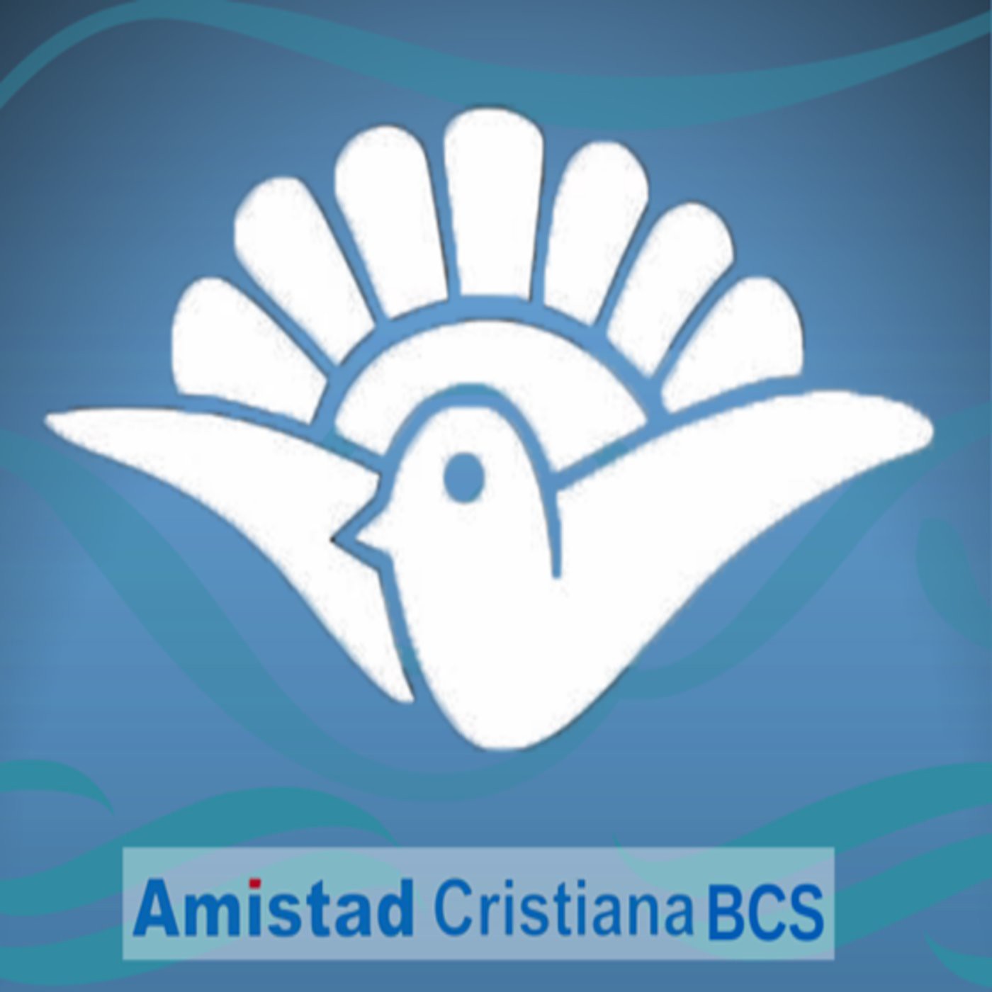 Amistad Cristiana