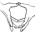 Welcome to the Daoist Medicinal Qigong Foundation at www.medicinalqigong.org