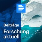 Meereshitze und Waldbrände: Vorläufiger Klima-Statusbericht der WMO für 2019