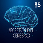 Secretos del cerebro - La mitad de sus amigos le abandonarán antes de siete años - 15/11/18
