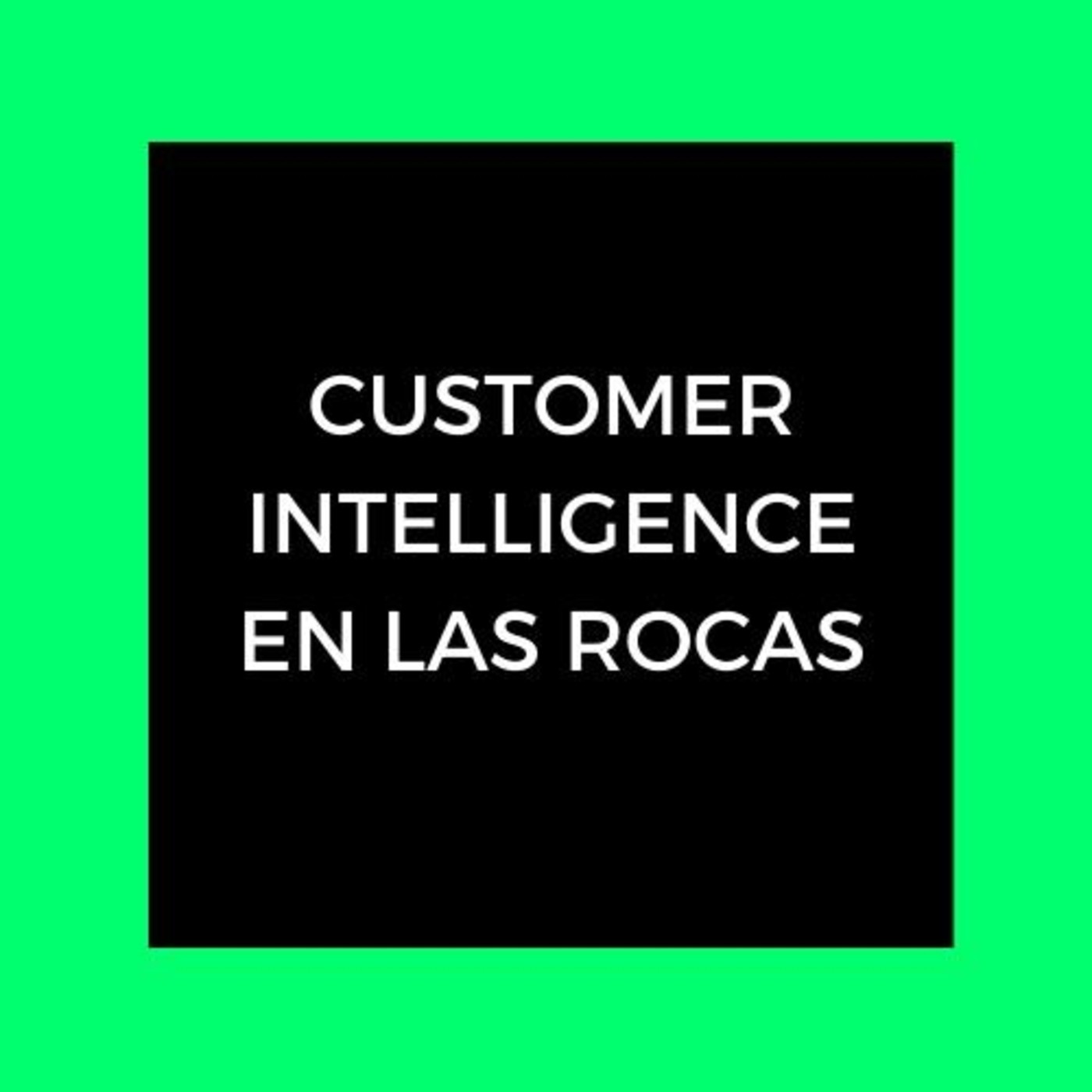 Customer Intelligence en las Rocas