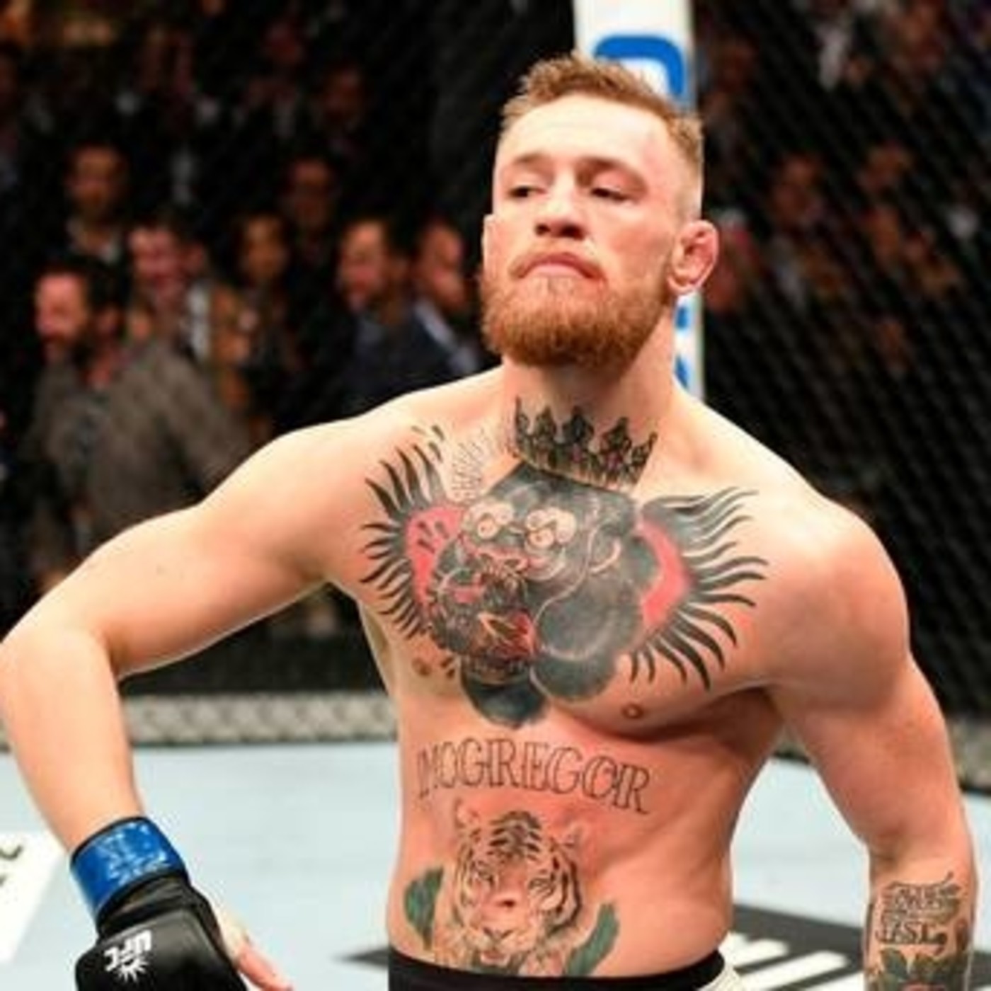 Connor McGregor Motivation