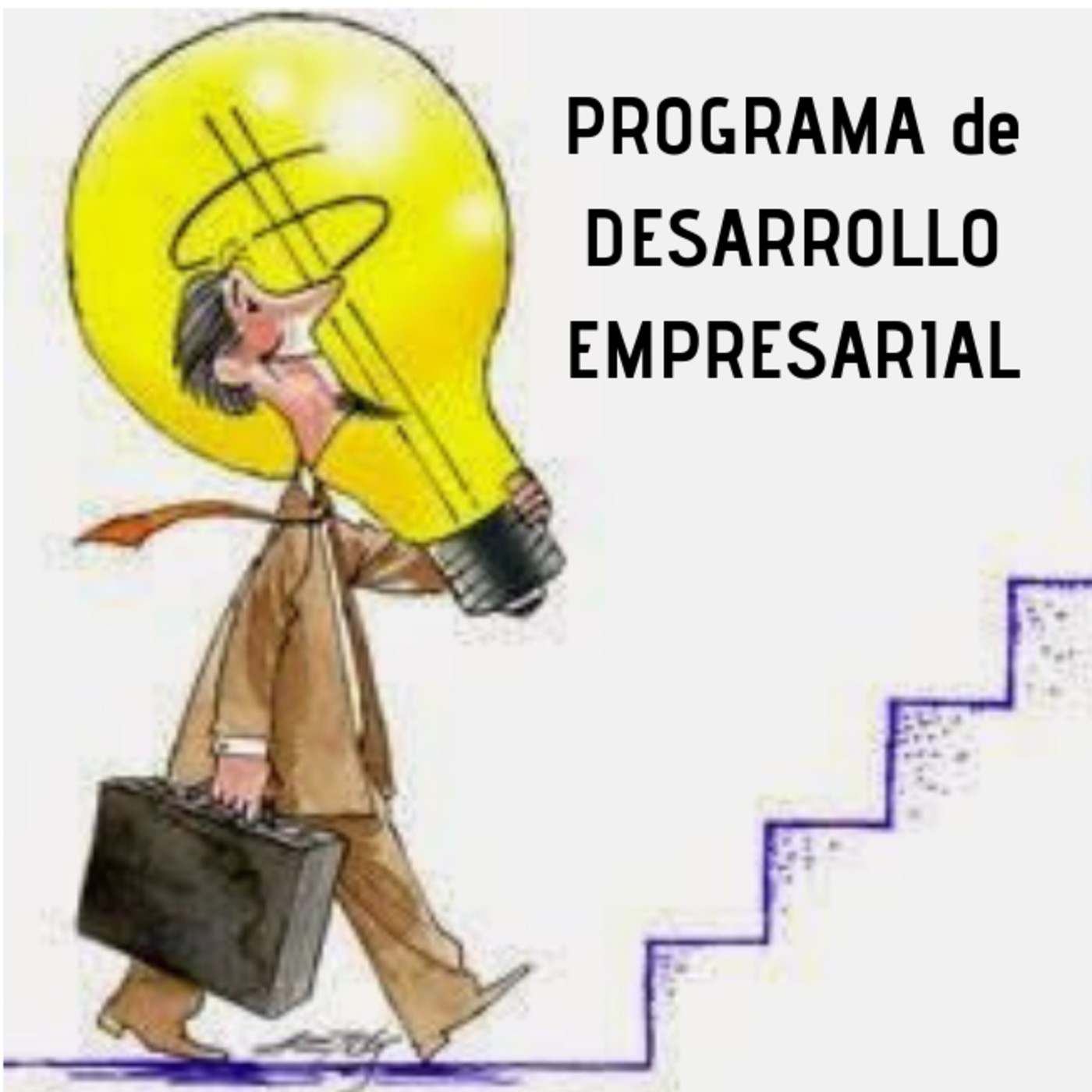 ¿Cuál es el propósito del Programa de Desarrollo Empresarial?