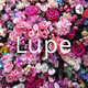 Lupe (Trailer)