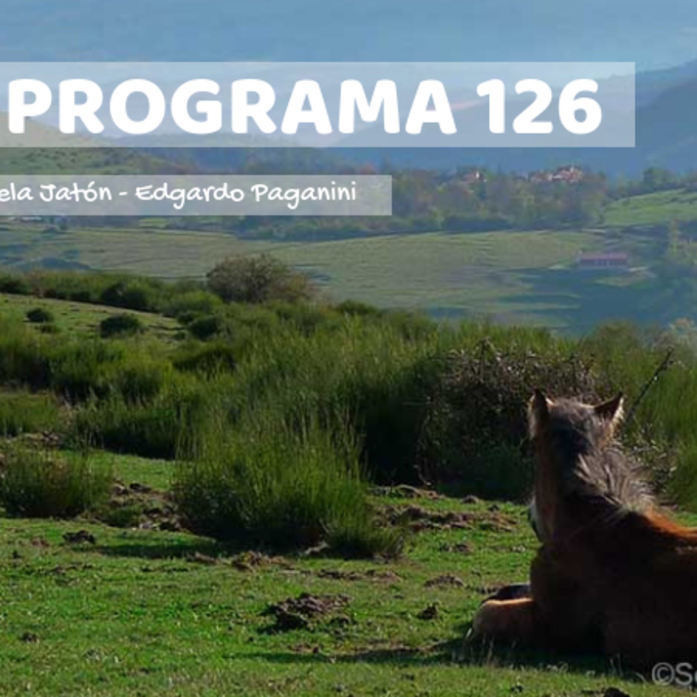 Viajero Frecuente Radio - Programa 126 - 25-11-18