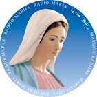 Nddl3 2019-04-03