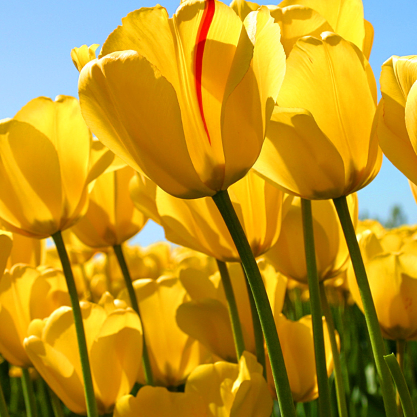 Temporada 3 IES Alfaguara 