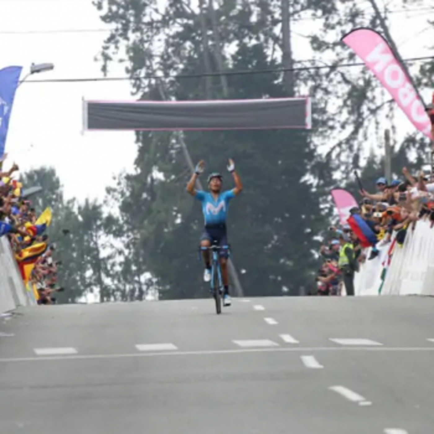 Ciclismo en la red