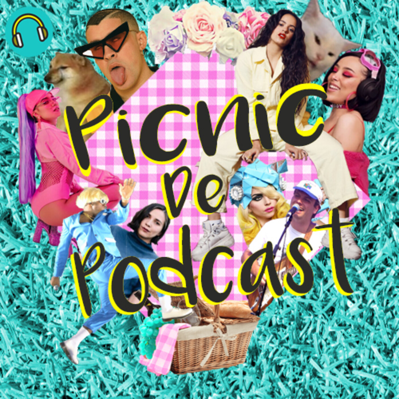 Picnic De Podcast