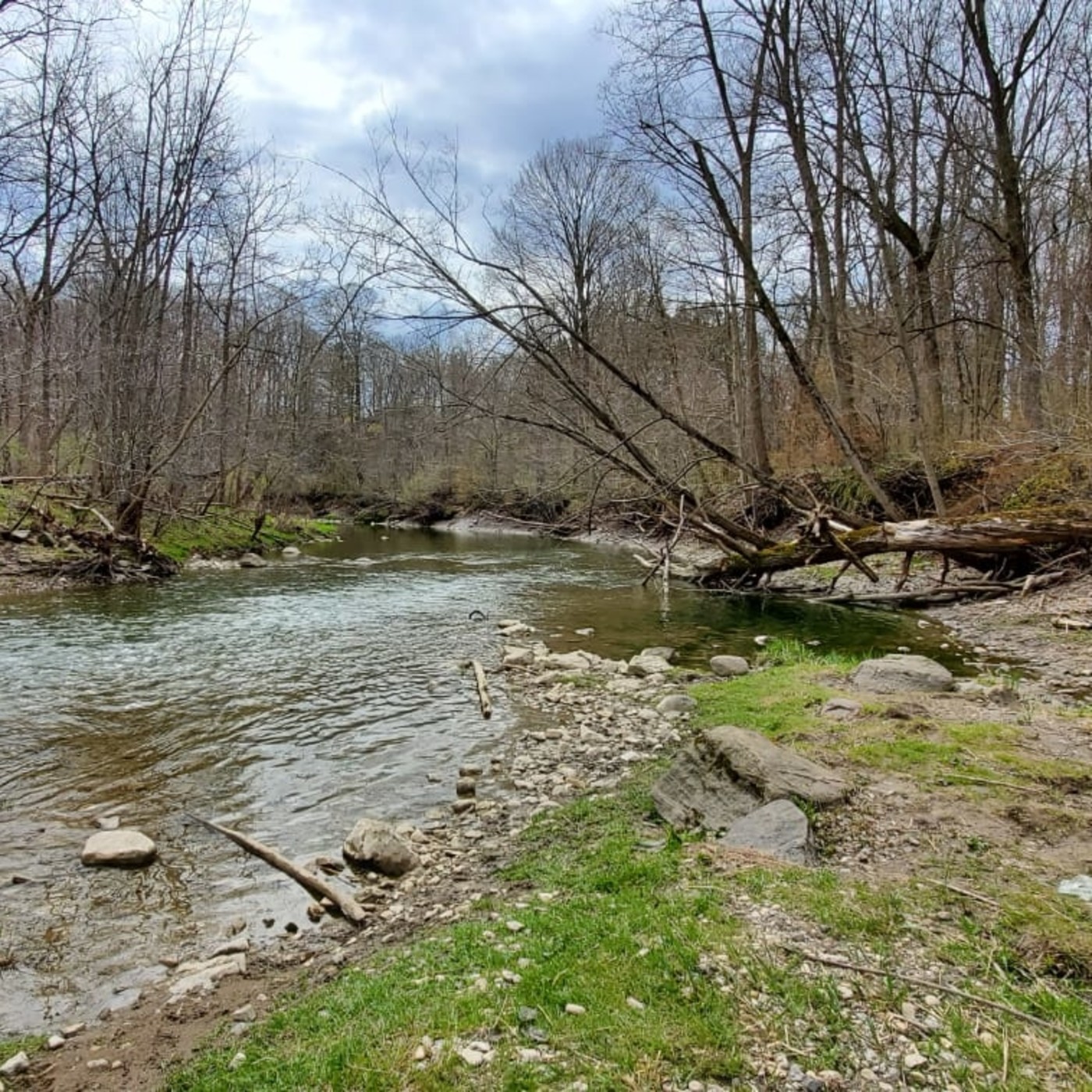 Cuentos de dos abuelos en cuarentena