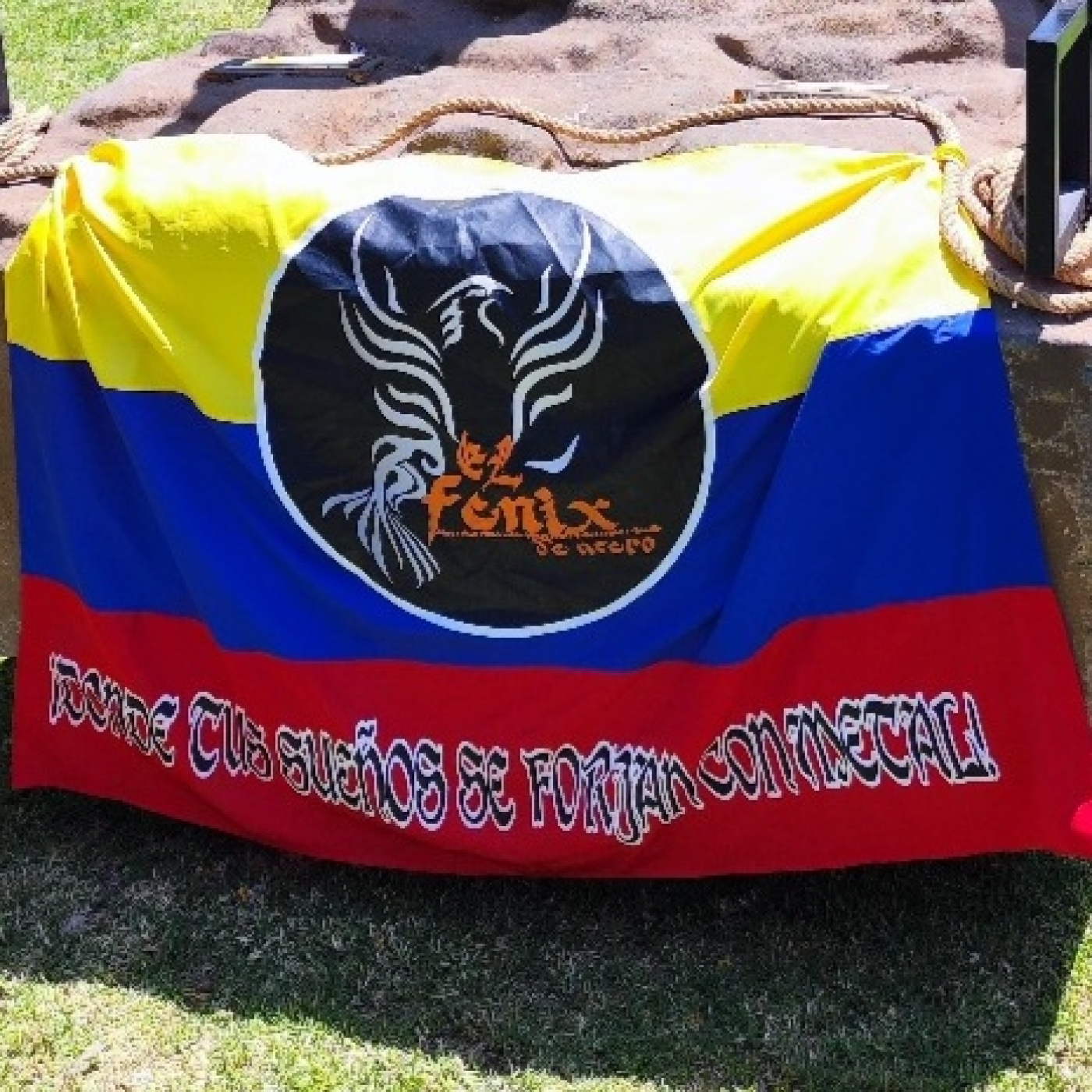 El fenix de acero