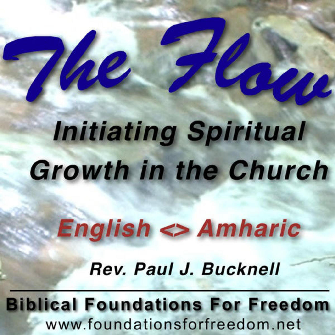 Amharic: Initiating Spiritual Growth in the Church