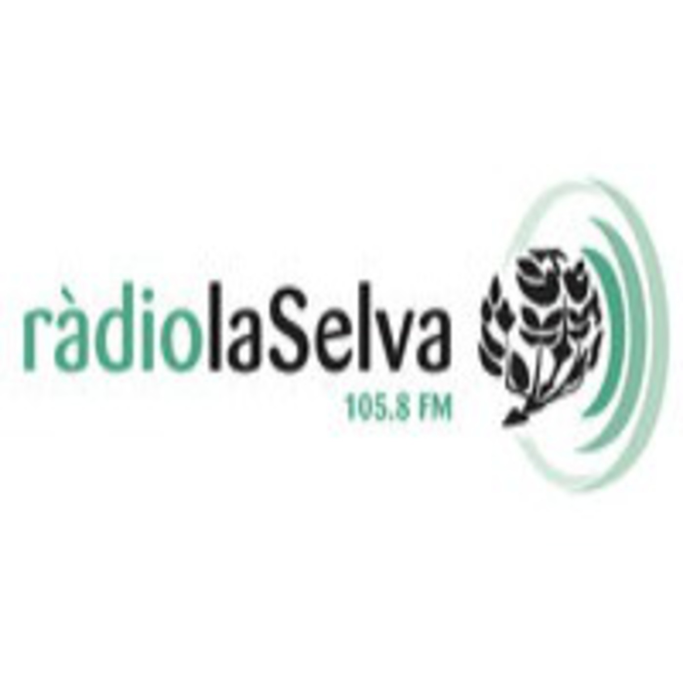 SELVATEK FM (29/06/13)