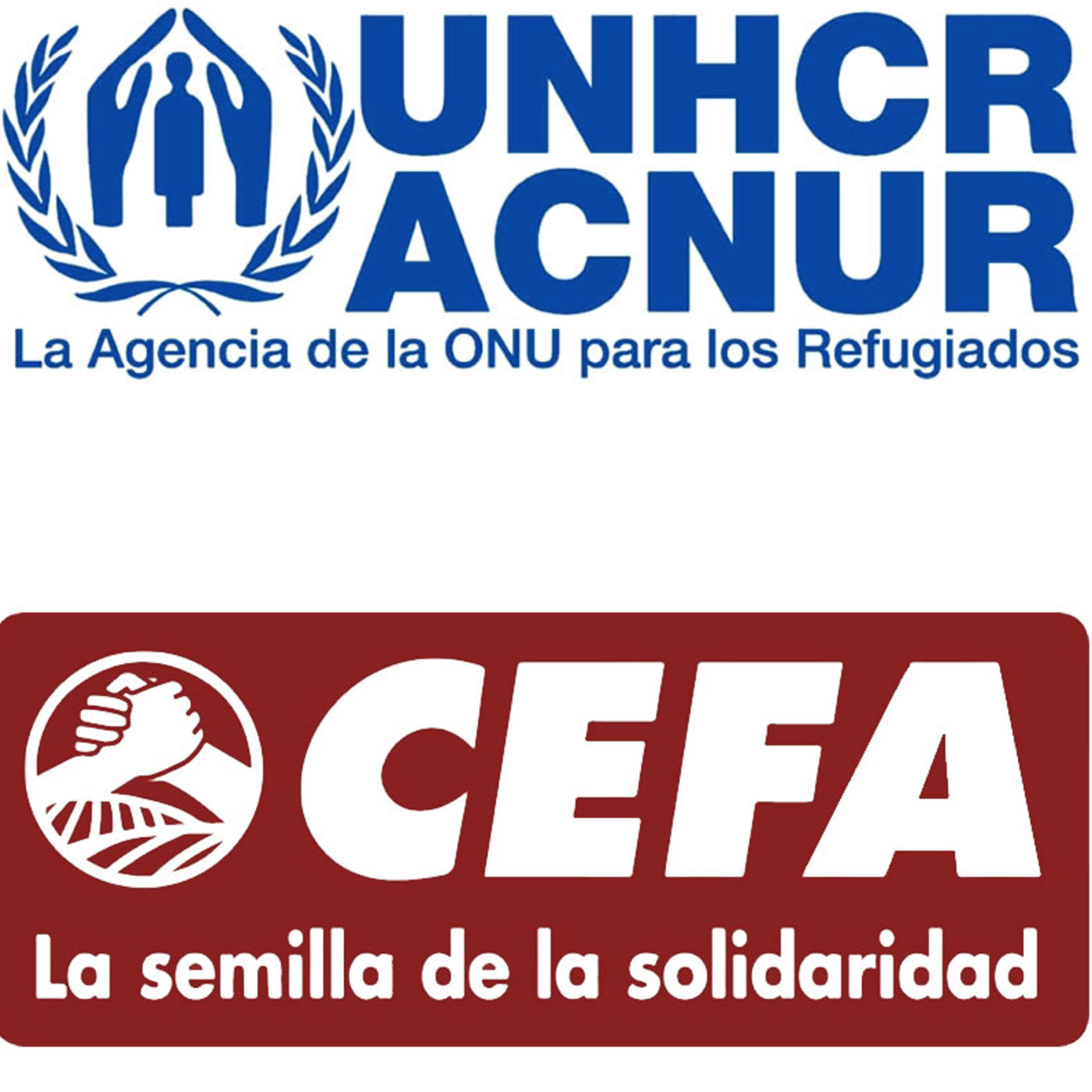 Fortalecimiento a los consejos y Juntas Cantonales