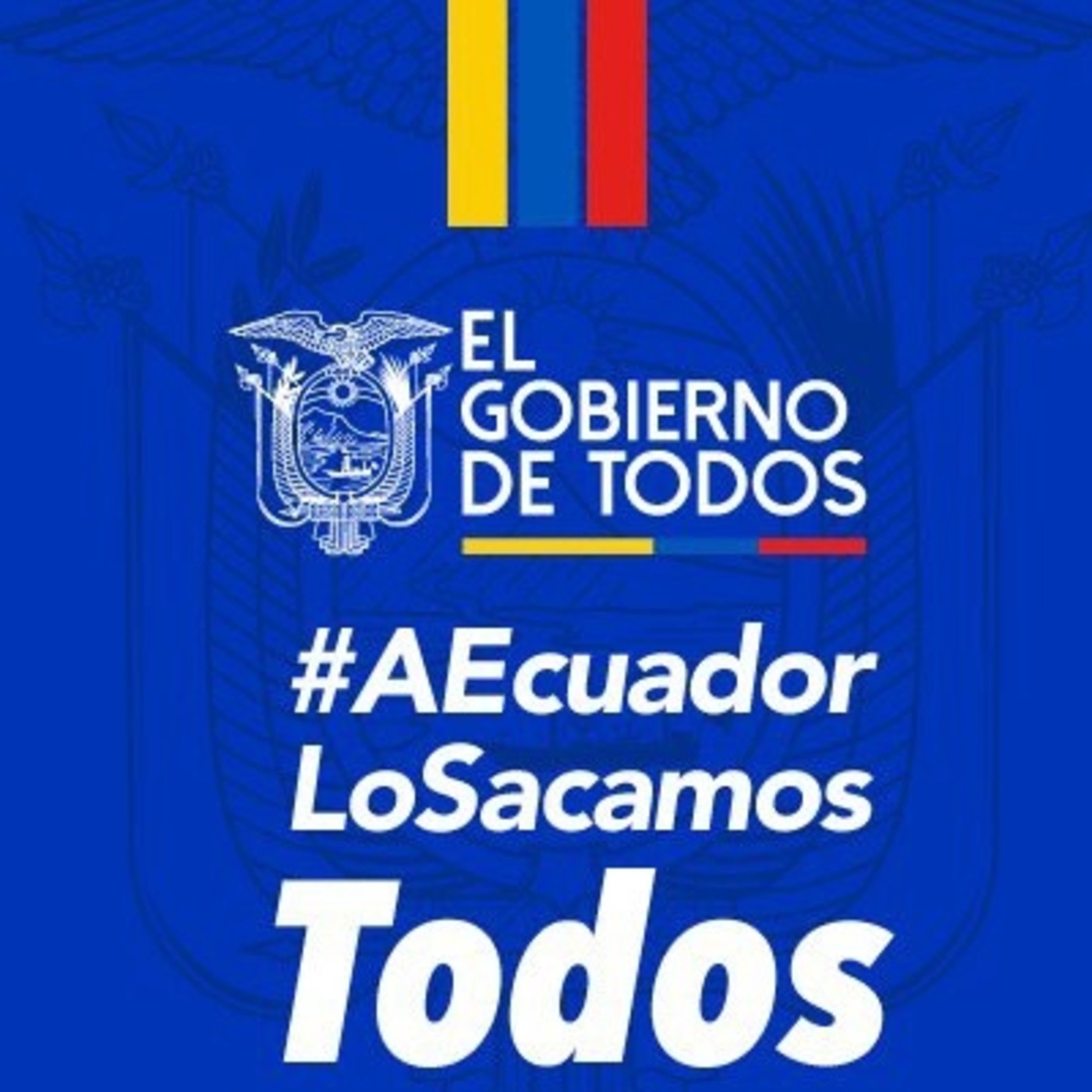 Proyecto de reforma al COIP