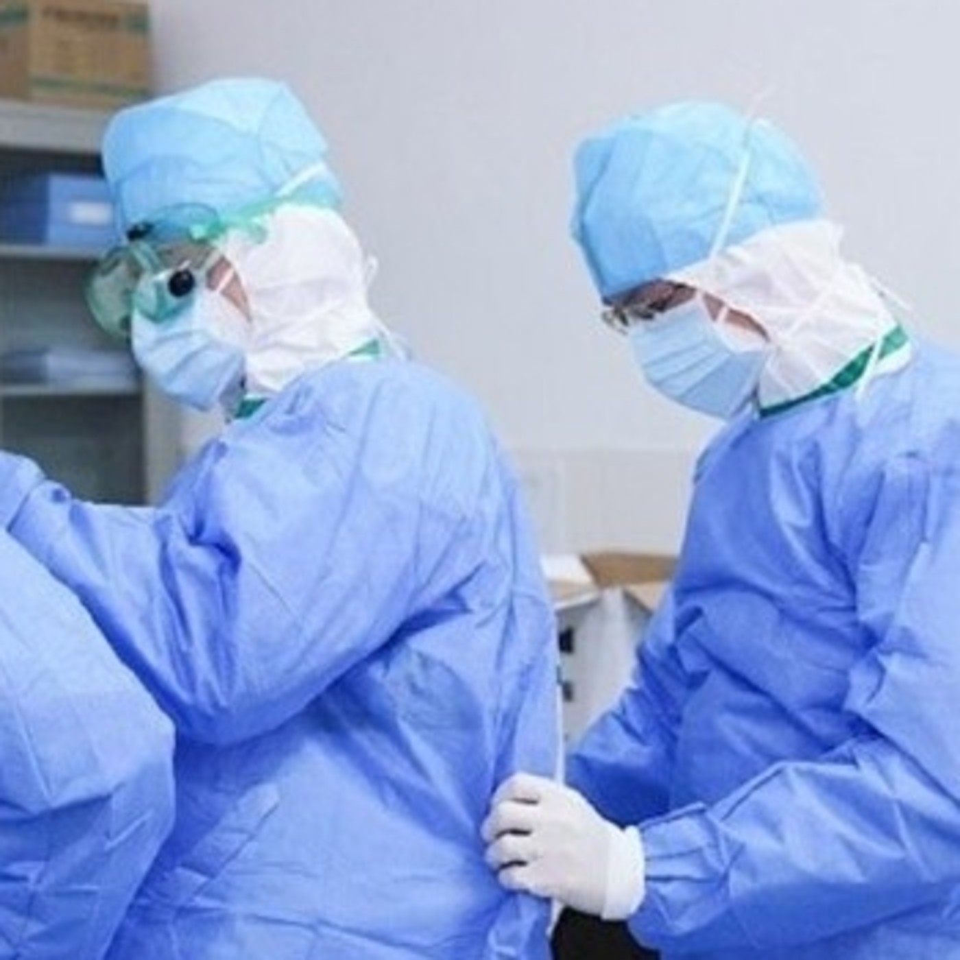 Historias del Virus Rey