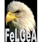 FeLGeA
