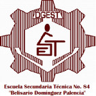 embed image