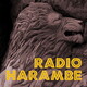 Episode 159 - Thank You Burudika!