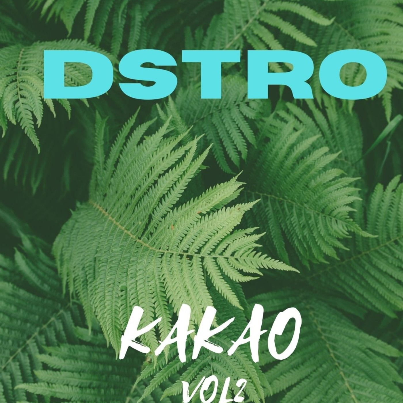 kakao vol2 House mix