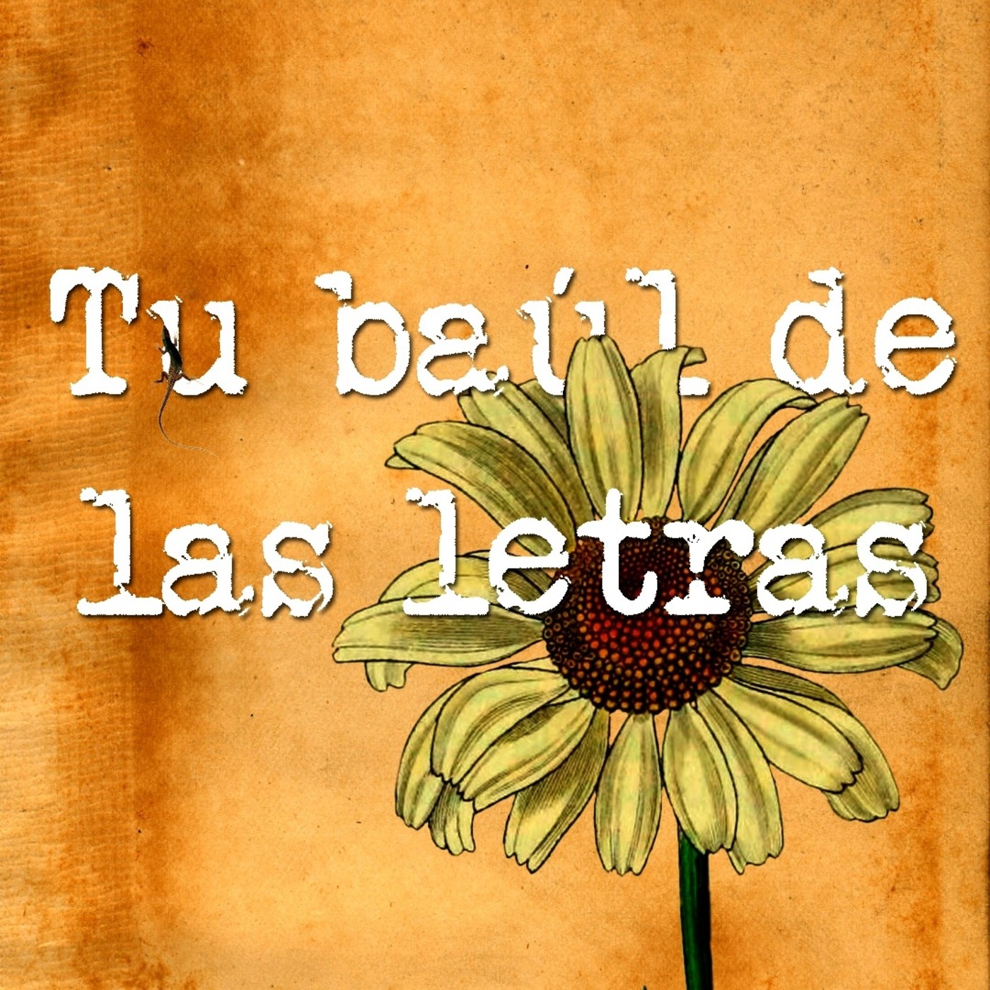 Tu Baúl de las Letras 
