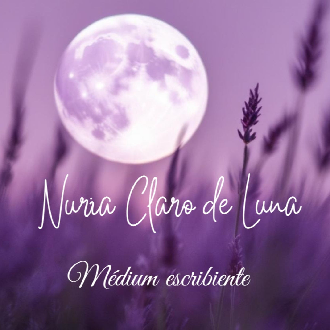 Preguntando a Paco de Lucía