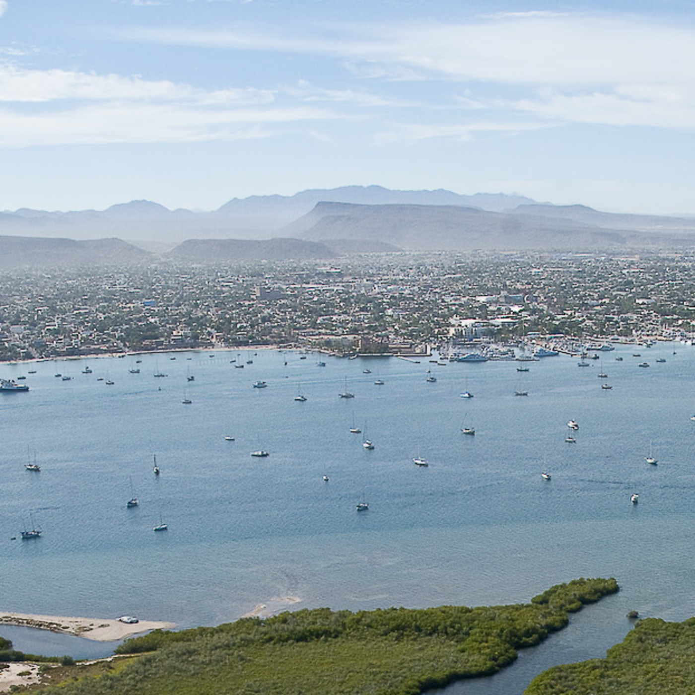 El Cardón Umbilical