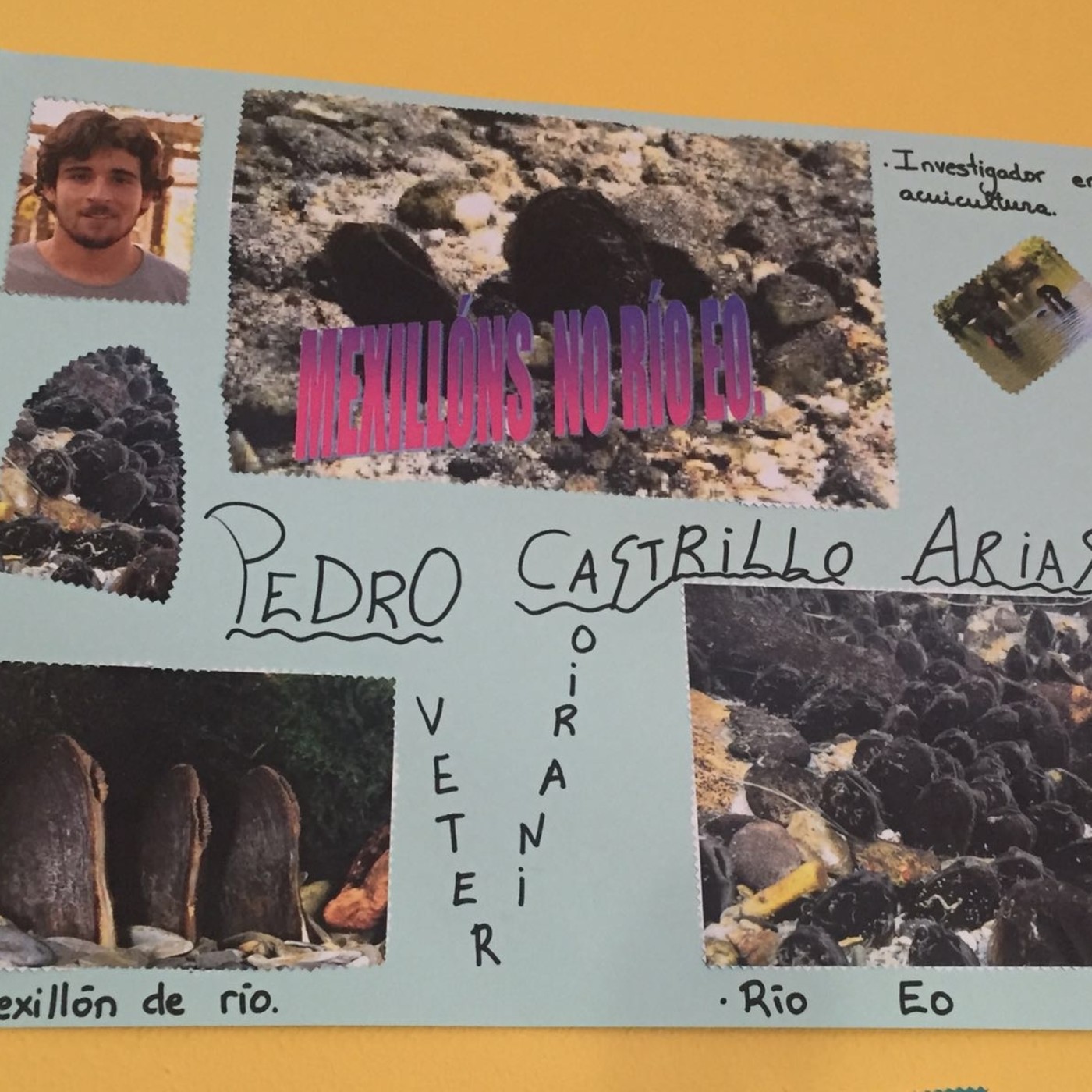 O paraugas da ciencia